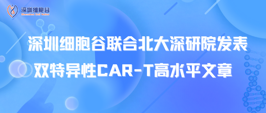 喜讯丨深圳evo真人视讯联合北大深研院发表双特异性CAR-T高水平文章