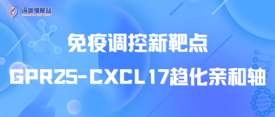 免疫调控新靶点：GPR25-CXCL17趋化亲和轴