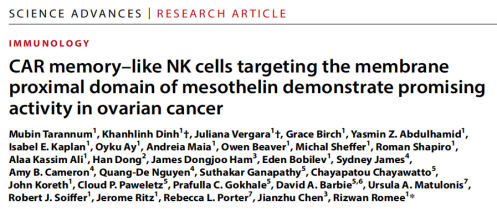 靶向间皮素的CAR记忆样NK细胞：卵巢癌治疗的新希望